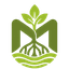 Mangrove Link