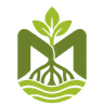 Mangrove Link